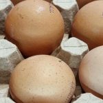 yumurtalari-neden-kaynatmak-icin-soguk-suya-koymaniz-gerekiyor-kabugun-icine.jpg